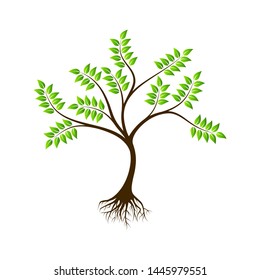 tree with roots design vector illustration