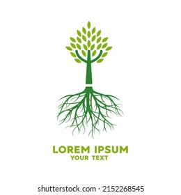 Tree with roots and foliage. Vector illustration