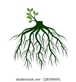 Tree Roots and germinate limb. Roots of plants. Outline Illustration.