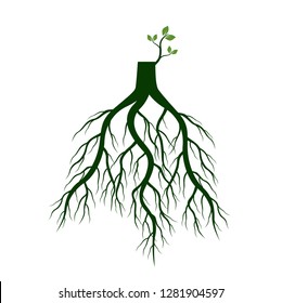 Tree Roots and germinate limb. Roots of plants. Outline Illustration.