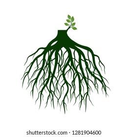Tree Roots and germinate limb. Roots of plants. Outline Illustration.