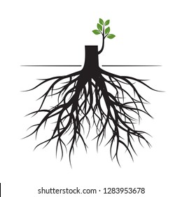 Tree Roots and germinate limb. Roots of plants. Outline Illustration.