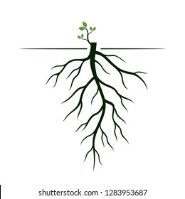 Tree Roots and germinate limb. Roots of plants. Outline Illustration.