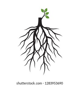 Tree Roots and germinate limb. Roots of plants. Outline Illustration.