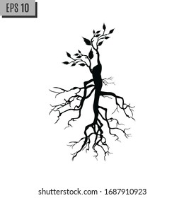 Tree Roots and germinate limb. Roots of plants. silhouette