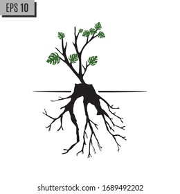 Tree Roots and germinate limb. Roots of plants. Outline Illustration. (Vector illustration).Eps10
