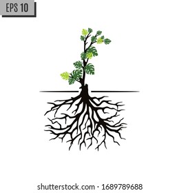 Tree Roots and germinate limb. Roots of plants. Outline Illustration.