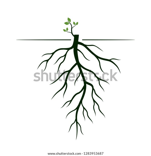 木の根と発芽肢 植物の根 輪郭のイラスト のベクター画像素材 ロイヤリティフリー