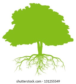 Tree with roots green ecology vector background concept