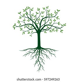 Tree with roots and green leafs. Vector Illustration.