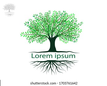 Tree and roots with green leaves look beautiful and refreshing.Tree and roots LOGO style.