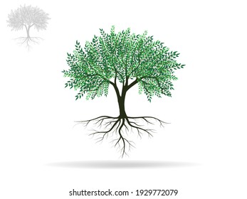 Tree And Roots With Green Leaves Look Beautiful And Refreshing. Tree And Roots LOGO Style.