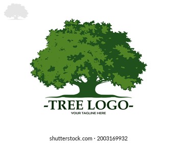Tree and roots with green leaves look beautiful and refreshing. Tree and roots LOGO style.