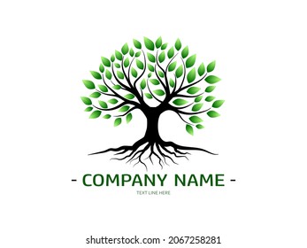 Tree And Roots With Green Leaves Look Beautiful And Refreshing. Tree And Roots LOGO Style.