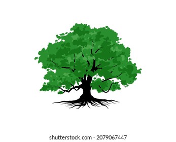 El árbol y las raíces con hojas verdes se ven hermosos y refrescantes. Estilo LOGO de árbol y raíces.