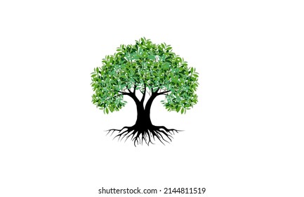 Tree and roots with green leaves look beautiful and refreshing. Tree and roots LOGO style.