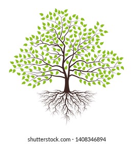 Tree with roots and green leaves. Vector illustration.