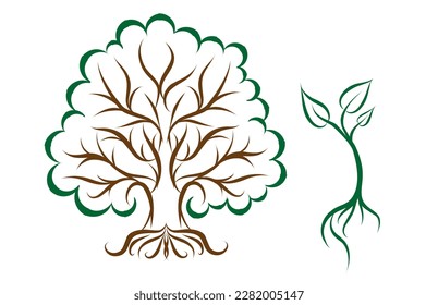 Tree with roots and green plant with leaves isolated white background vector
