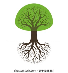 Tree with roots. Green plant silhouette. Vector illustration. 