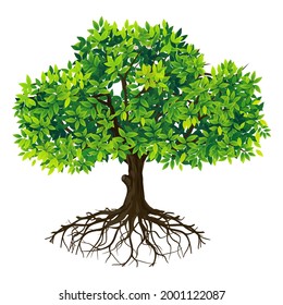 Árbol y raíces con ilustración de vector manuscrita