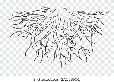 Ícone de raízes de árvore. Sistema raiz natural, ilustração Vetor. EPS 10.