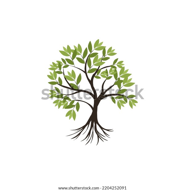 Tree Roots Icon Vector Illustration Isolated Stock Vector (Royalty Free ...