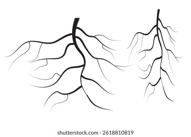 tree roots icons of silhouette vector illustration