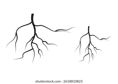 tree roots icons of silhouette vector illustration