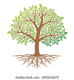 Árbol con vector de ilustración de raíz