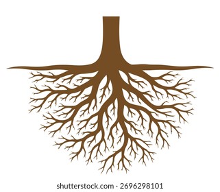 Raízes de árvore isoladas na ilustração de fundo branco