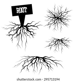 tree roots isolated. vector illustration