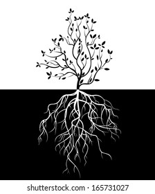  tree with roots isolated white background vector 