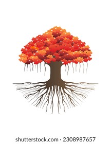 Tree and roots, Japanese red maple trees vector isolated on white background