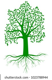 a tree with roots leaves green