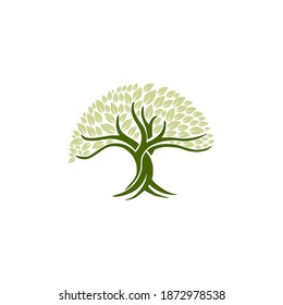 Tree and Roots with Leaves. Oak Tree on White Background Template