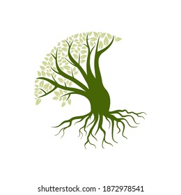Tree and Roots with Leaves. Oak Tree on White Background Template