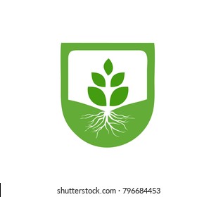tree roots logo