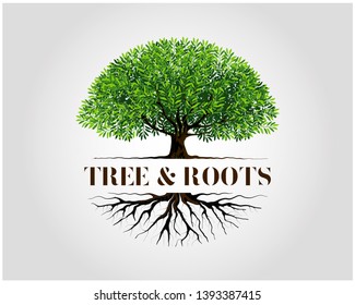 Tree and roots logo design vector isolated,  tree with round shape