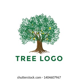 Tree and roots logo design vector isolated,  tree with round shape