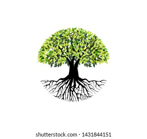 Tree and roots logo design vector isolated,  tree with round shape