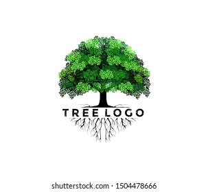 Tree and roots logo design vector isolated,  tree with round shape