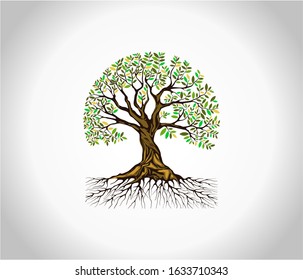 Tree and roots logo design vector isolated, tree of life logo design illustration