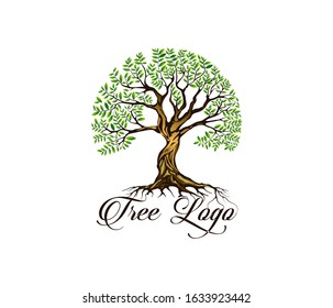 Tree and roots logo design vector isolated, tree of life logo design illustration. Fashion tree logo.