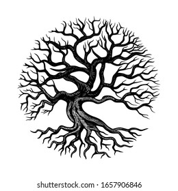 Tree and roots logo design vector