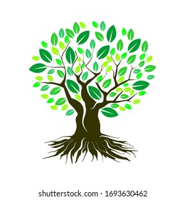 Tree Roots Logo Design Vector Isolated Stock Vector (Royalty Free ...