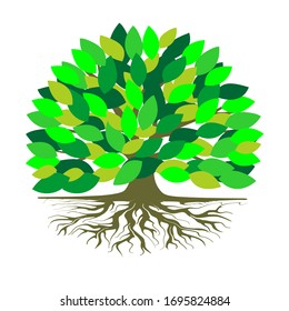 Tree and roots logo design vector isolated, tree with round shape