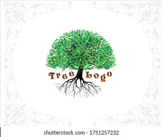 Tree and roots logo design vector isolated,  tree with round shape
