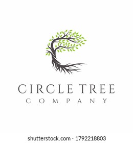 Tree and roots logo design vector isolated, abstract tree logo design