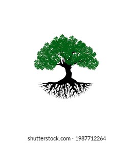 Tree and roots logo design vector isolated, tree with round shape