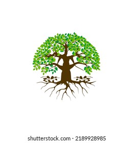 Tree and roots logo design vector isolated. on white background